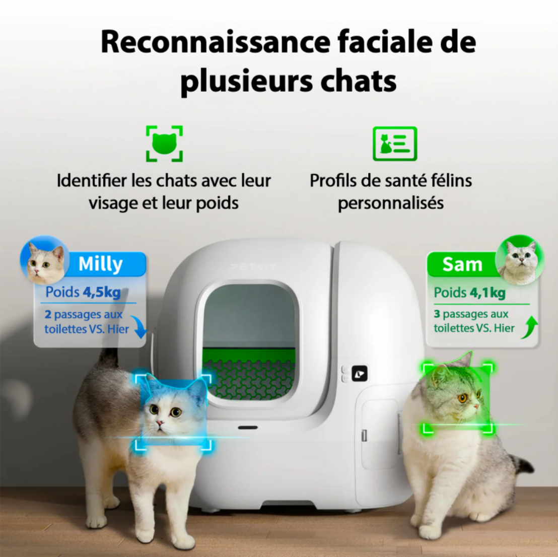 Litière automatique